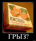 FB_IMG_1455545644439.webp