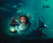 20-540x434.webp