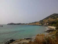 4.webp