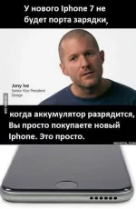 FB_IMG_1457385178570.webp