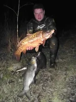 image.webp