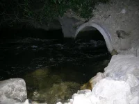 DSCN6716.webp