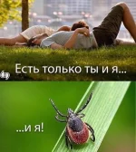 IMG_20160507_161632.webp