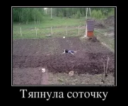 FB_IMG_1462530768201.webp
