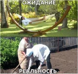 7695150.webp