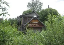 7695085.webp