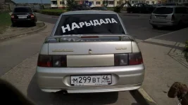 00300000.webp