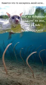 7810029.webp