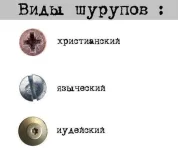FB_IMG_1464696166851.webp