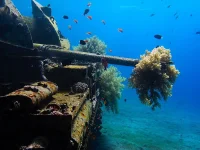tank_akaba.webp