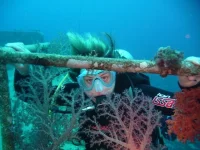 diving_akaba.webp
