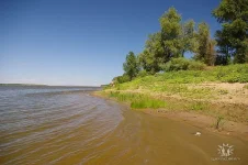 image (2).webp