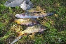 image (3).webp