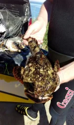IMG-20160705-WA0009.webp