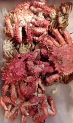 IMG-20160706-WA0001.webp