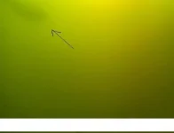 Screenshot_22.webp