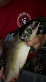 20160719_170211.webp