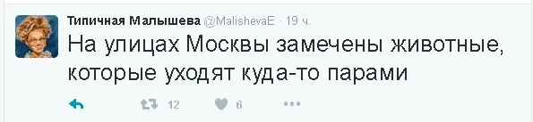 2-19.webp
