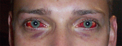 img1.gif