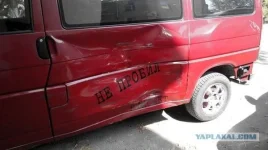 8306374.webp