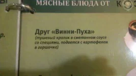 12294701_1125626360822588_5025564316695740520_n.webp
