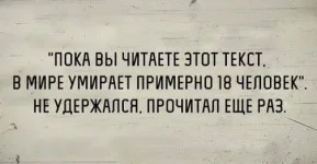 FB_IMG_1473022722227.webp