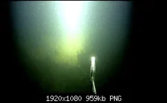 113 (1).webp