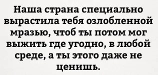 FF3C3Zu4B_U.webp