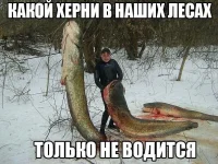 hybb72IkwHo.webp