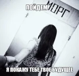 8771279.webp