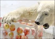жара4.webp