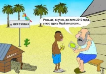 жара.webp