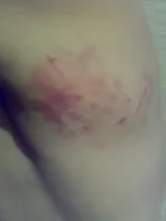 30072010208.webp