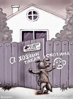 злая собака.webp