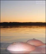 Ахтуба.webp