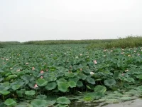 03_IMG_3159_новый размер.webp