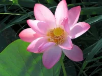 20_IMG_3345_новый размер.webp