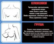3.webp