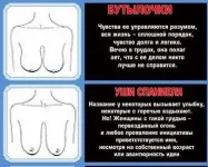 4.webp