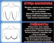 5.webp