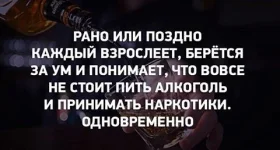 15170838_1156150927792361_1086044828857297142_n.webp