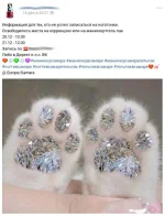 8932332.webp