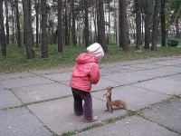 image (2)-Р.webp