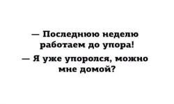 FB_IMG_1483089851884.webp