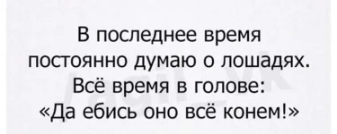 FB_IMG_1484899399873.webp
