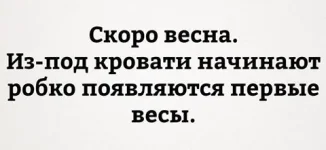 16508039_1890726291146115_7213540920047919843_n.webp