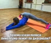 5b11e8457ed1f1e43cf5d4772f7ef6a2.webp