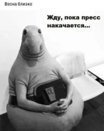 FB_IMG_1487872166297.webp