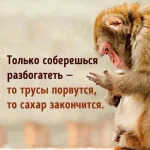 Z-YX3xkpScs-K.webp