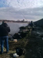 IMAG0331.webp